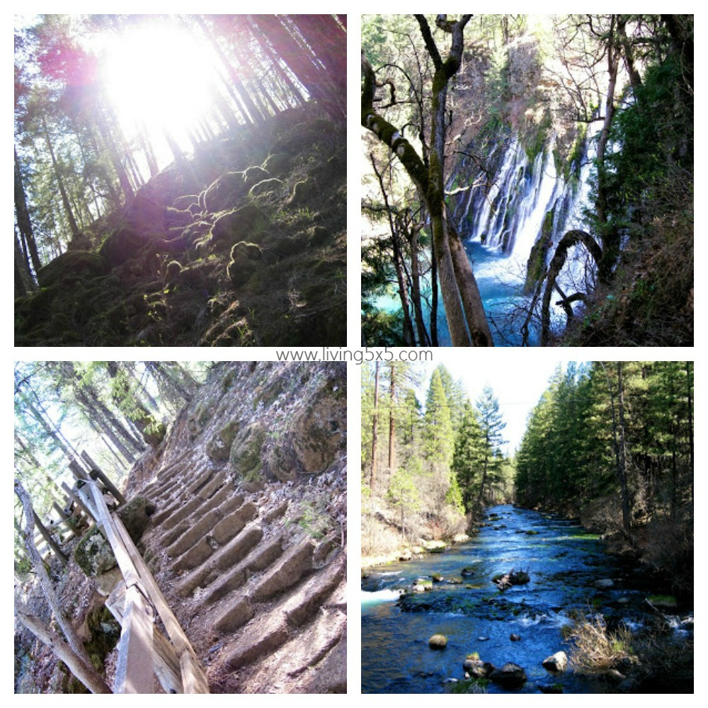 BurneyFalls22 Collage
