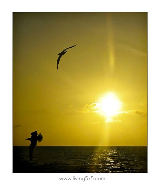 Aruba - Red Sail Sports - Day 3 and Day 6 - We went on two cruises by Red Sail Sports on day 3 and 6. One was a dinner cruise and the other a sunset cruise.