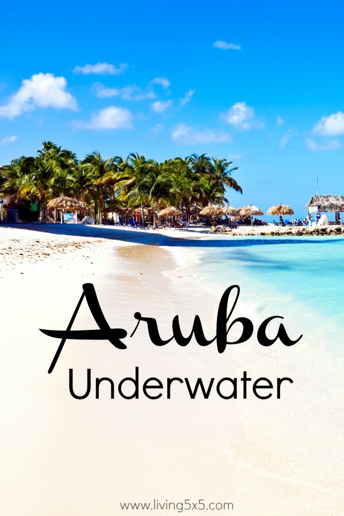 Underwater Camera Found In Aruba 2007 at Michael Houston blog