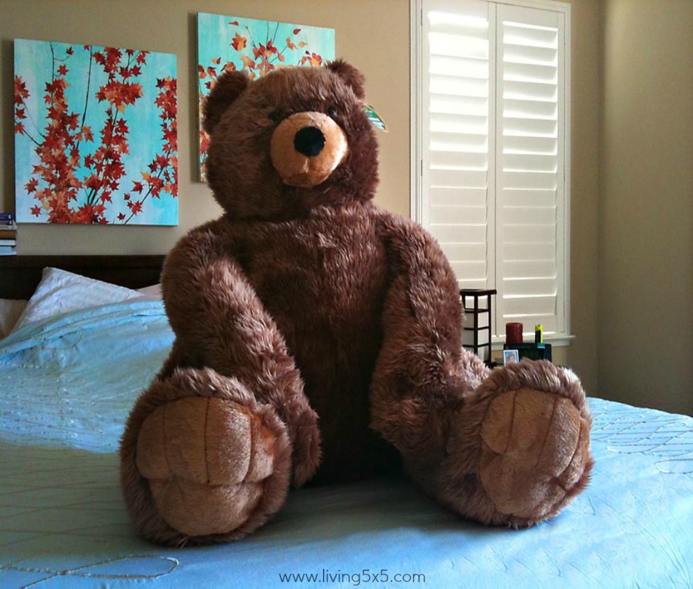 Happy Valentines Day 2011 and to another year with my hubby. See the big gift he got me this year!