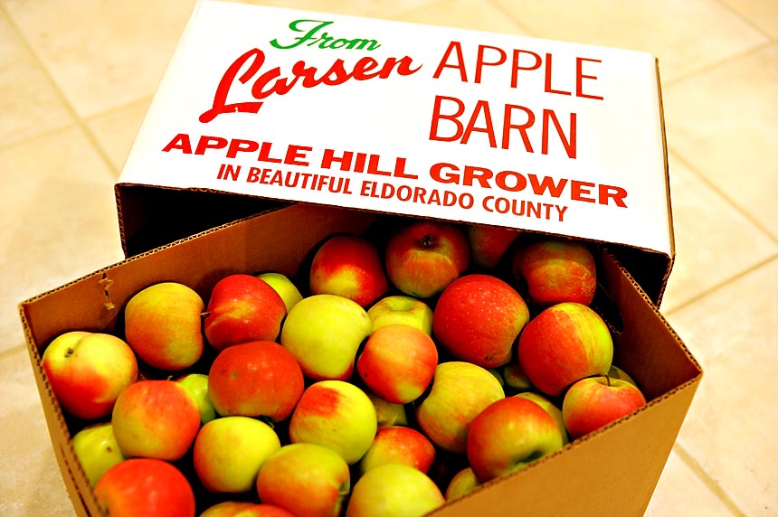 Eat an apple a day for healthy benefits! One way to enjoy them the most is at Apple Hill, where you can find just about anything that is apple!