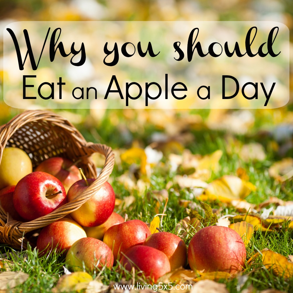 Eat an apple a day for healthy benefits! One way to enjoy them the most is at Apple Hill, where you can find just about anything that is apple!
