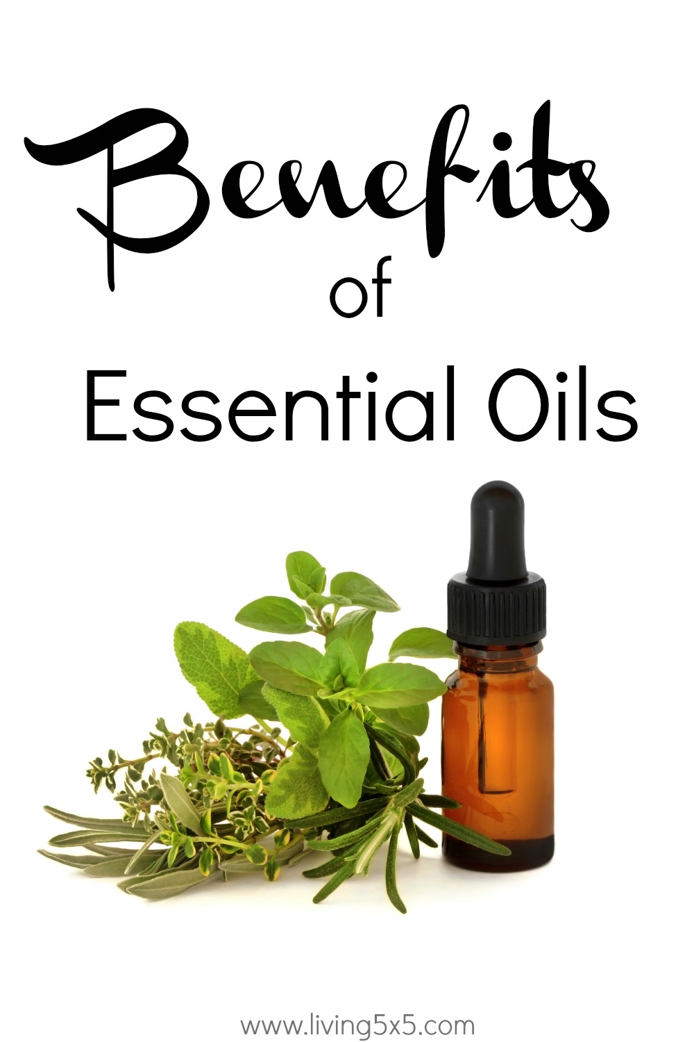 What are the benefits of essential oils? They are extracted from plants via distillation. The oil is highly concentrated and has many therapeutic benefits. 