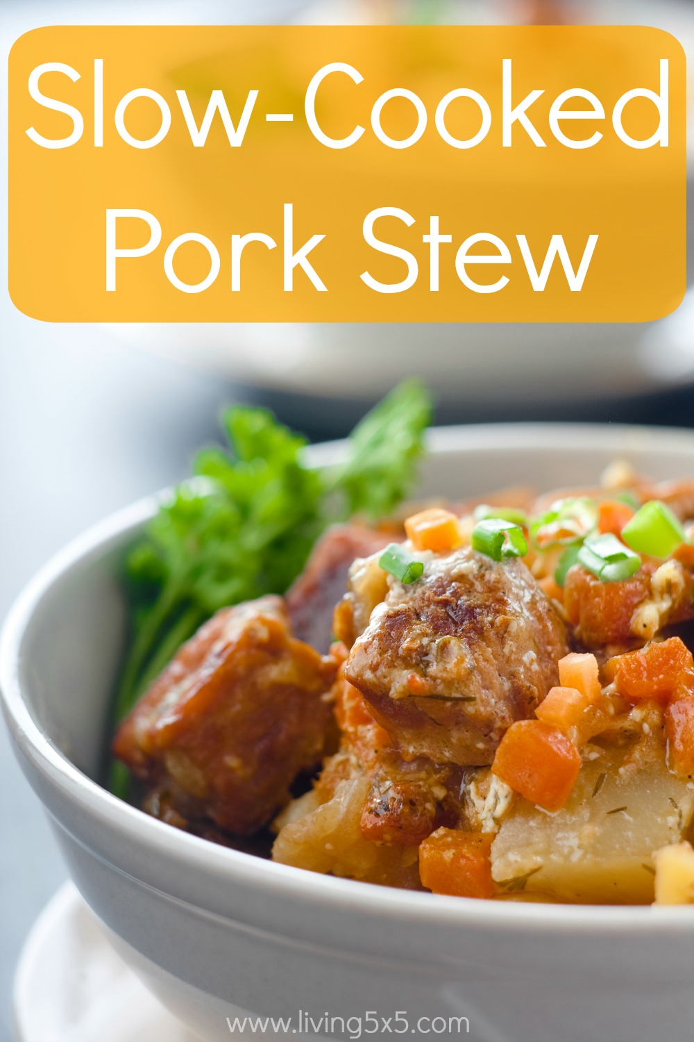 Today's post is something that can benefit everyone, a quick and easy slow-cooked pork stew recipe. Great for leftovers and lunch throughout the week! 