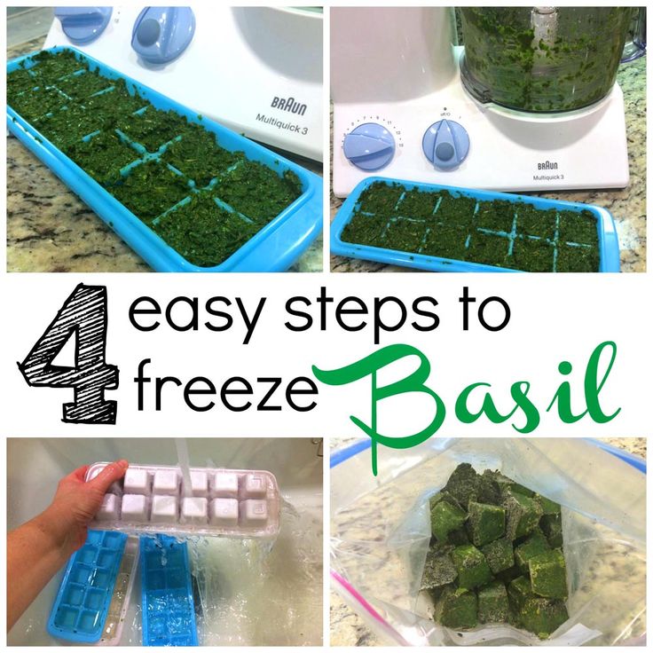 How can you preserve basil? Here's 4 easy steps in How to Freeze Basil, and get it year round to use it in smoothies, sauces, and pasta dishes.