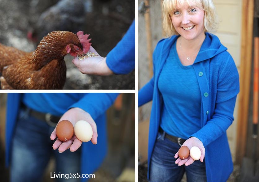 How will you decorate your Easter Eggs this year? I wanted to share 4 cool ways to decorate Easter eggs that can inspire your own creations.